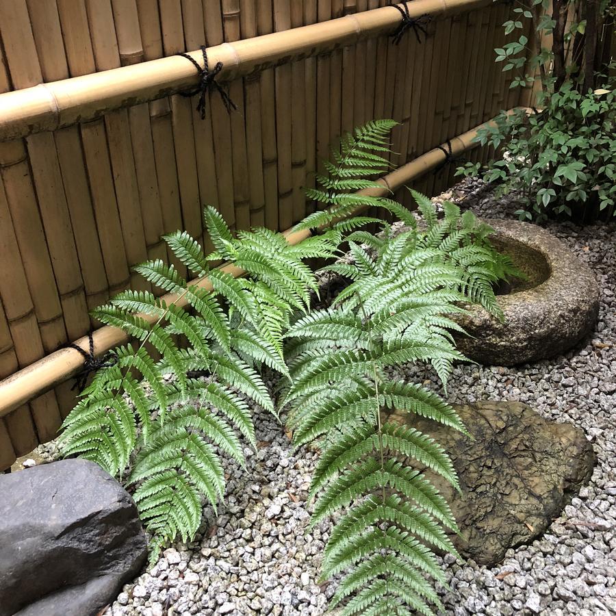 Naokonoza Omiya Gojo Villa Киото Екстериор снимка